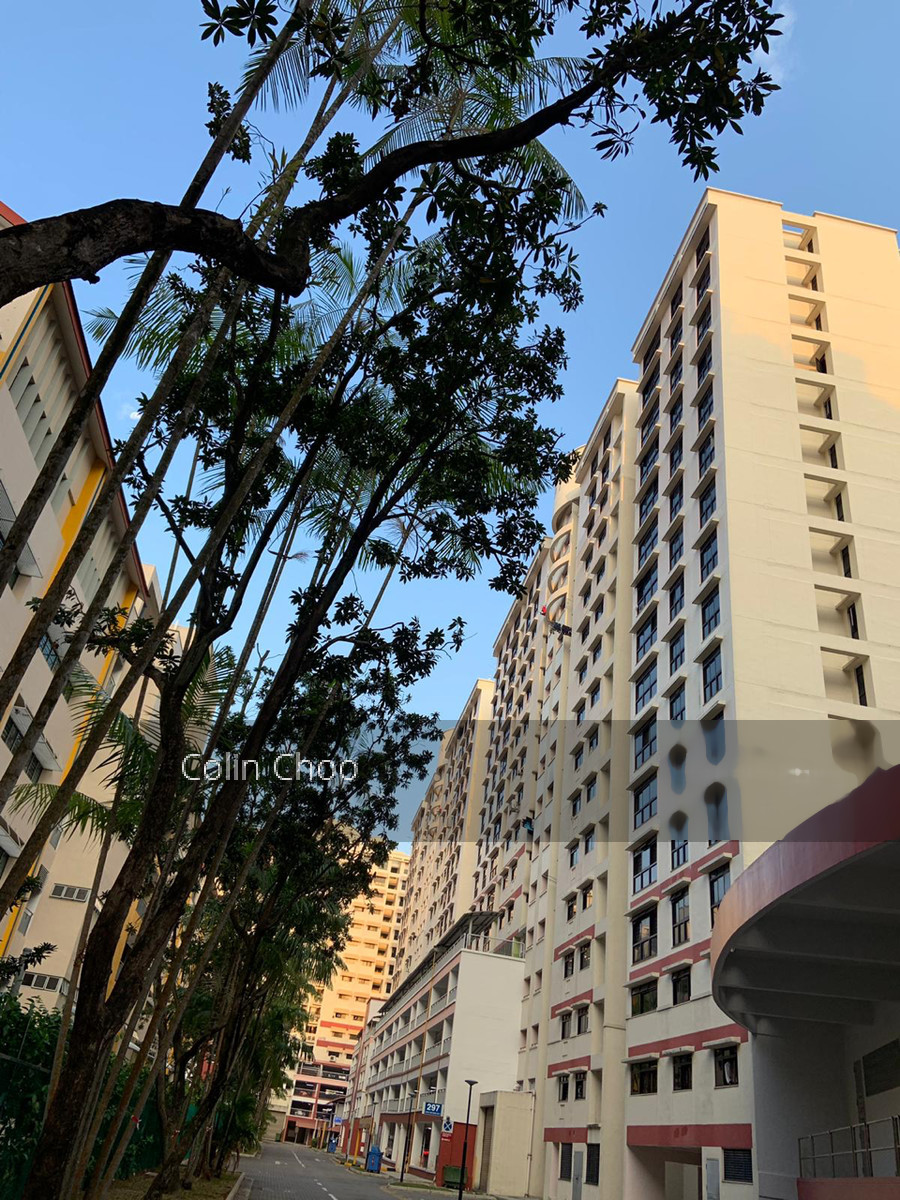 Blk 297 Choa Chu Kang Avenue 2 (Choa Chu Kang), HDB 5 Rooms #203103281